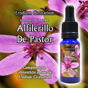 Alfilerillo de Pastor