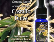 Castaño_Dulce