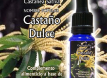 Castaño_Dulce